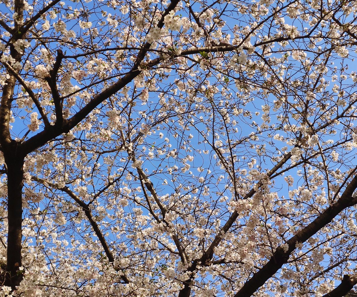 遠藤にしか出せない特別な音 tweet media