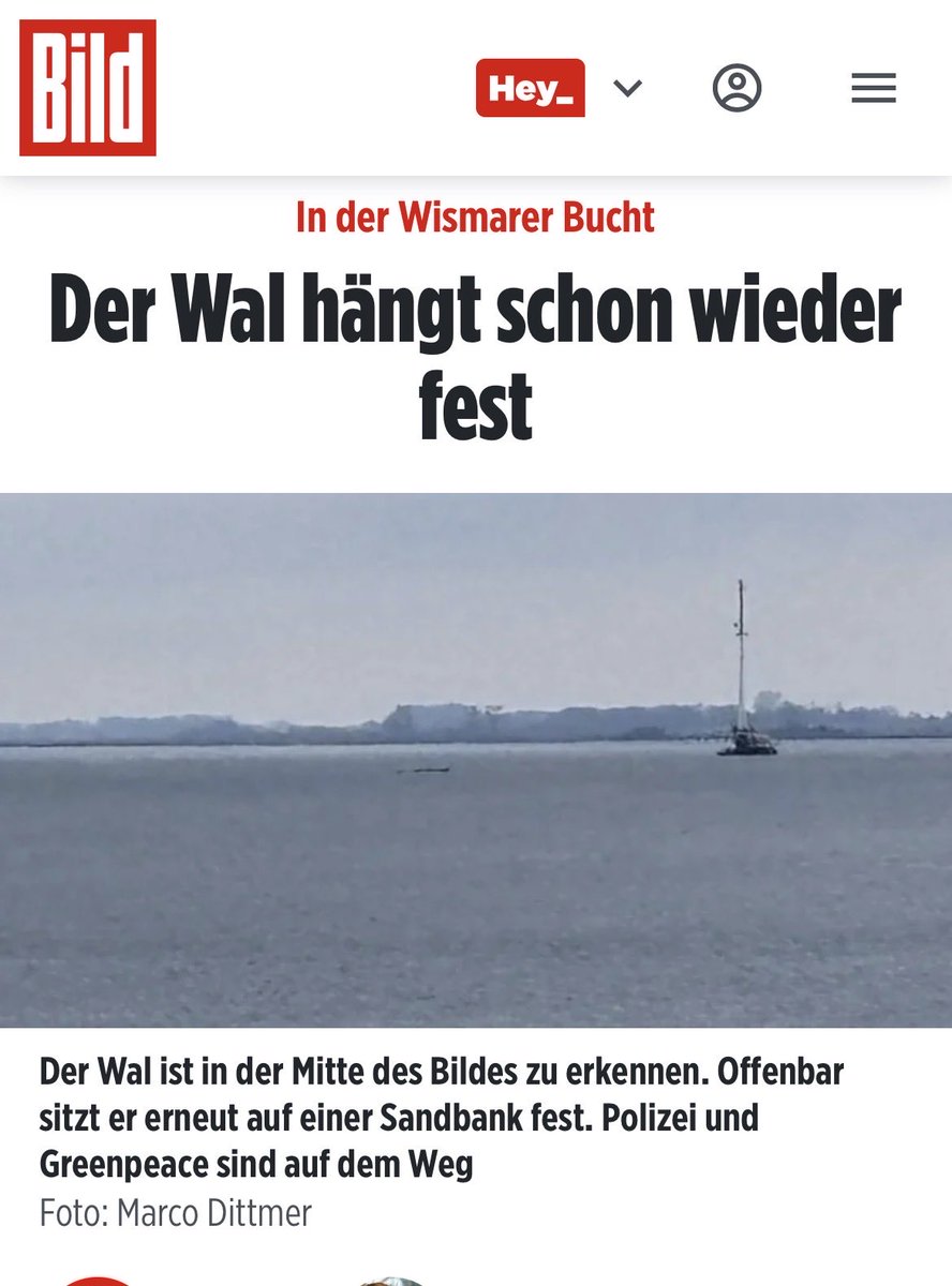 Morlock Nr.2 tweet media