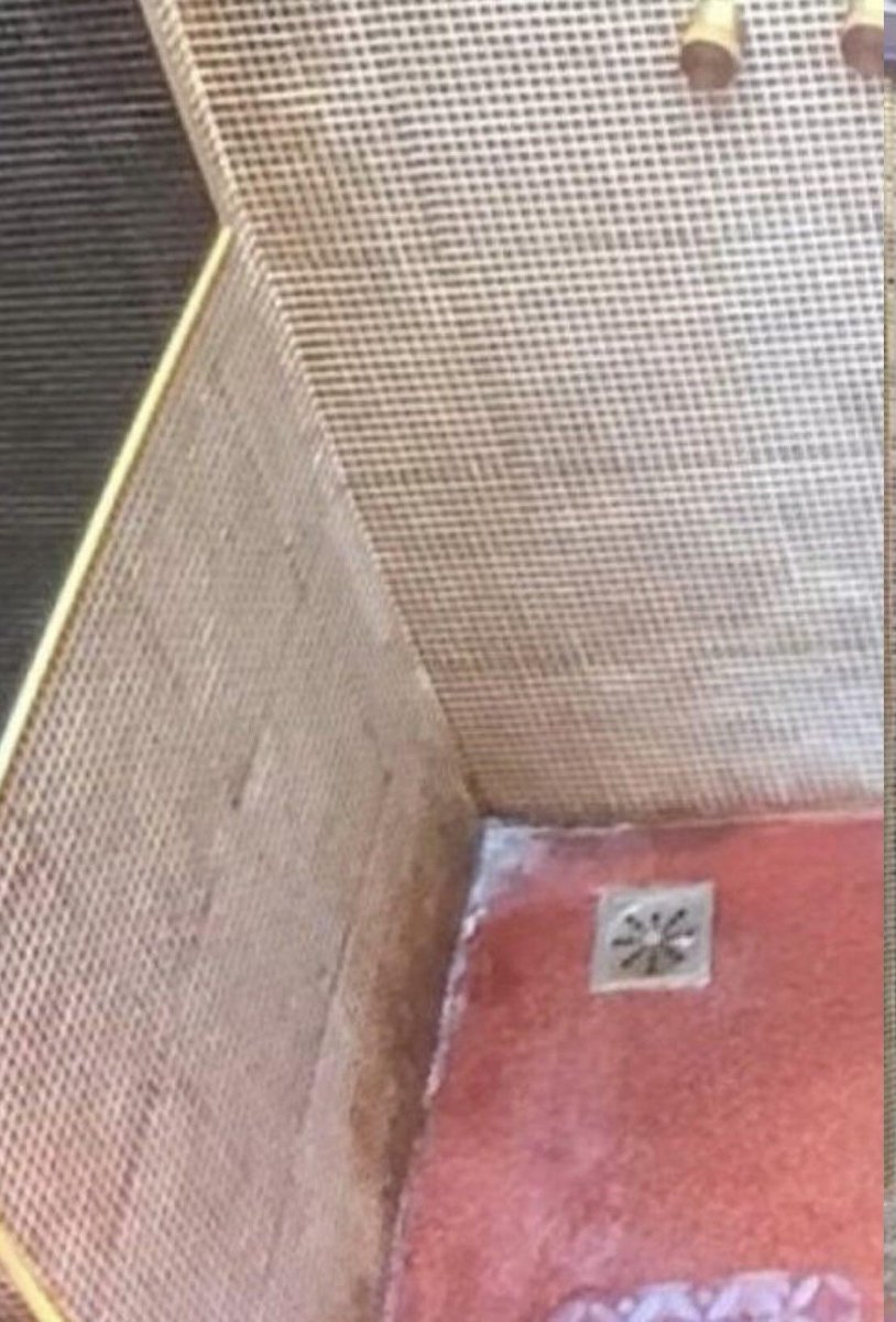 Ana Maria tweet media