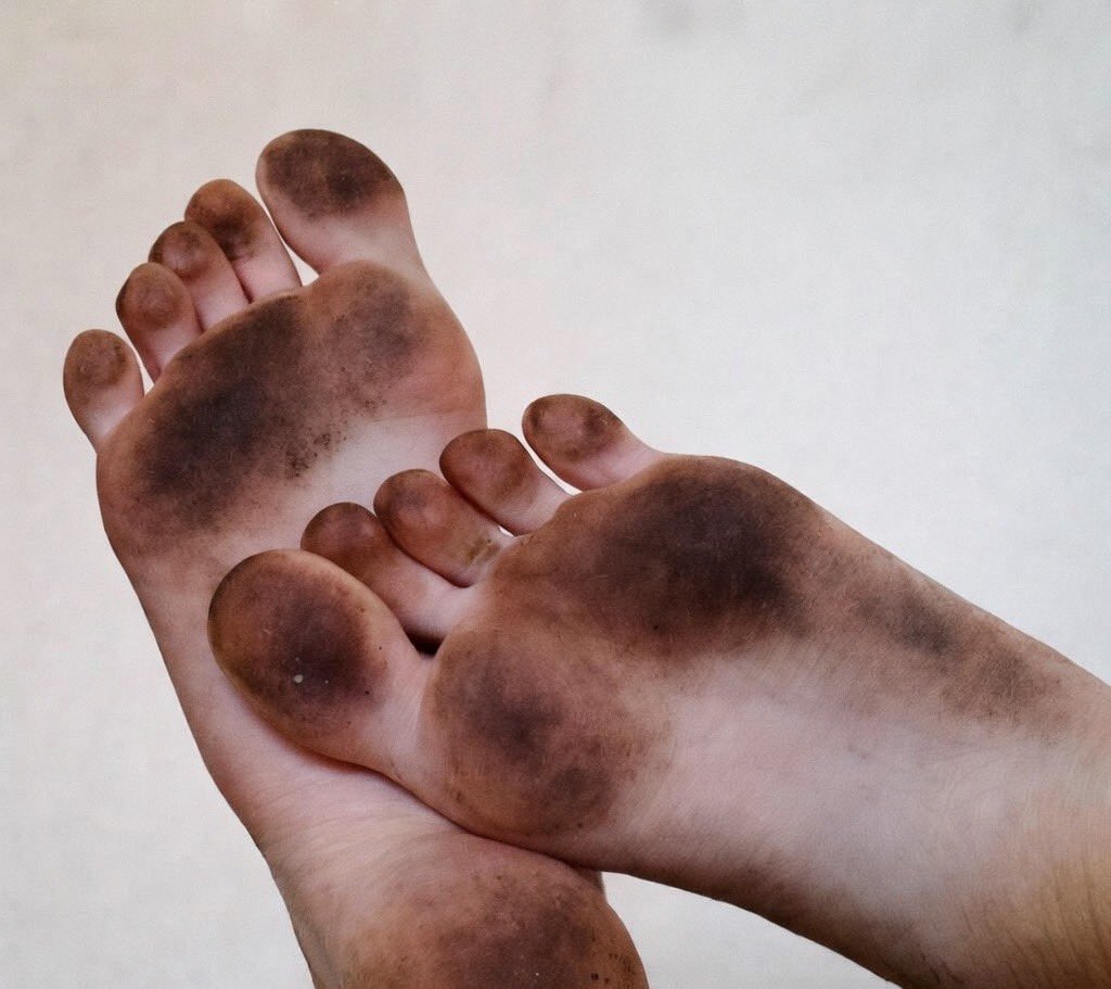 Thrilla the Gorilla tweet media