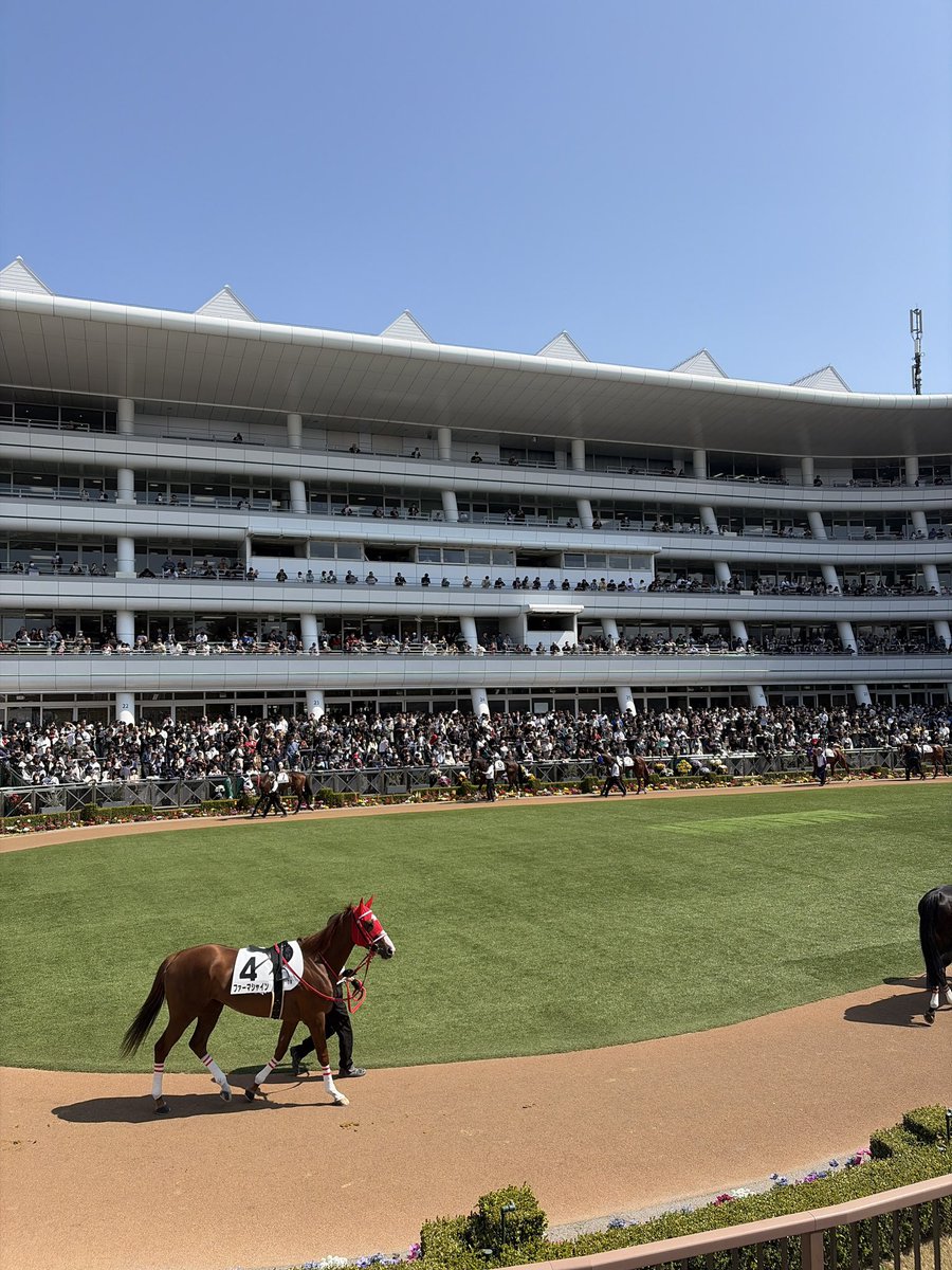 山崎千裕🎺(Chihiro Yamazaki) tweet media