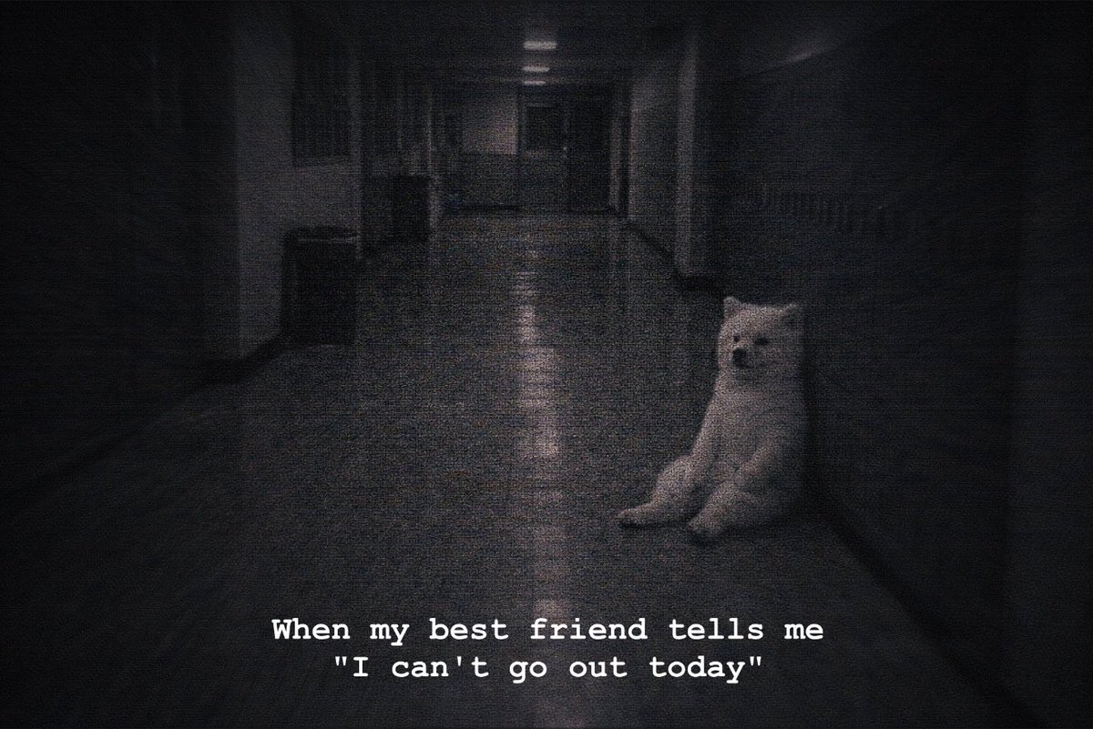 Trasportino2.0 tweet media