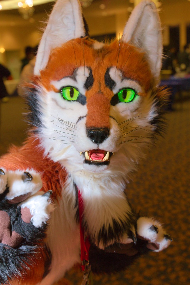 とおち tweet media