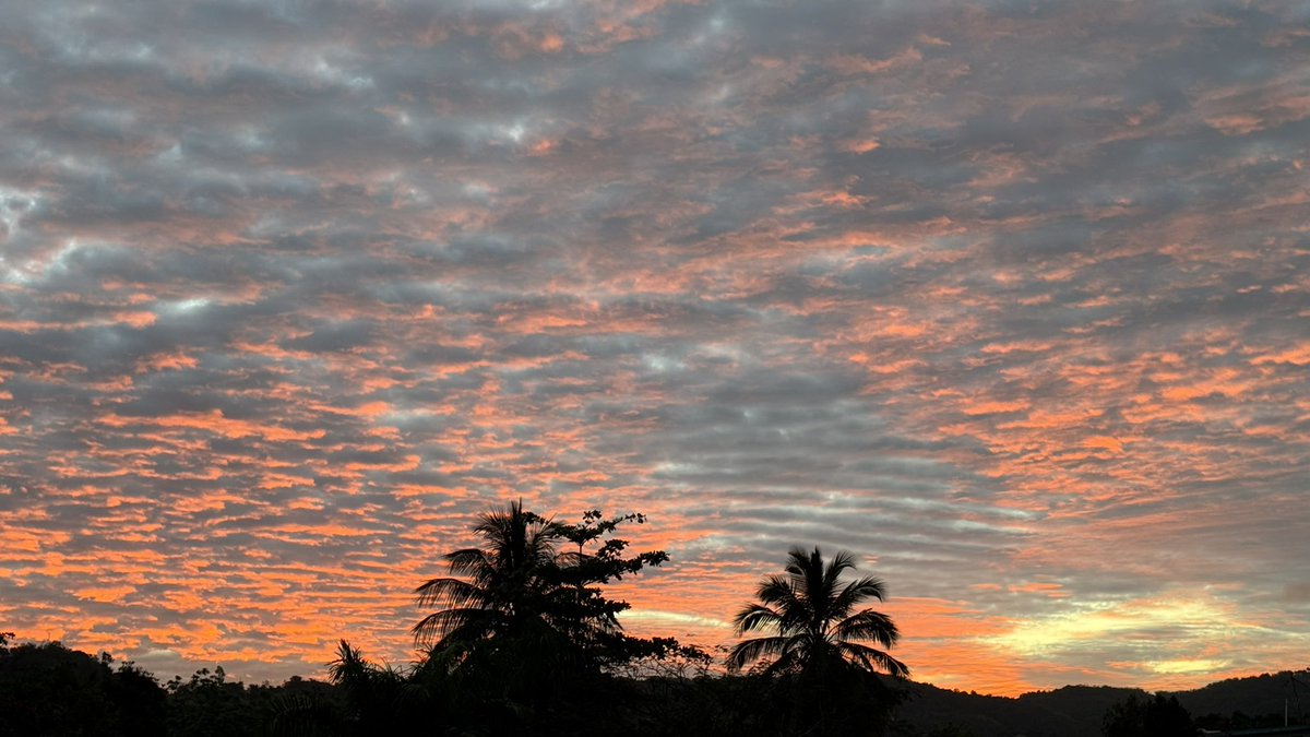 Leidy Díaz tweet media