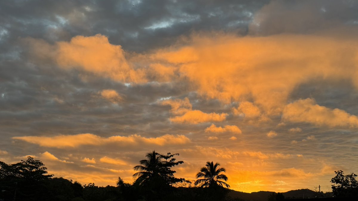 Leidy Díaz tweet media