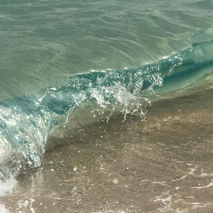 ℜi̲e̲lle 𝐂orallia tweet media