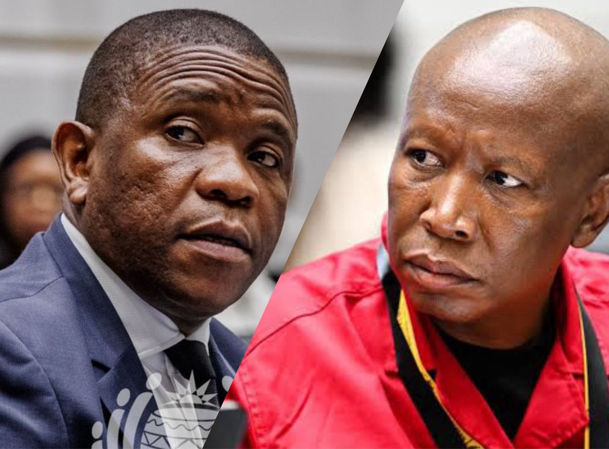 #PutSouthAfricansfirst tweet media