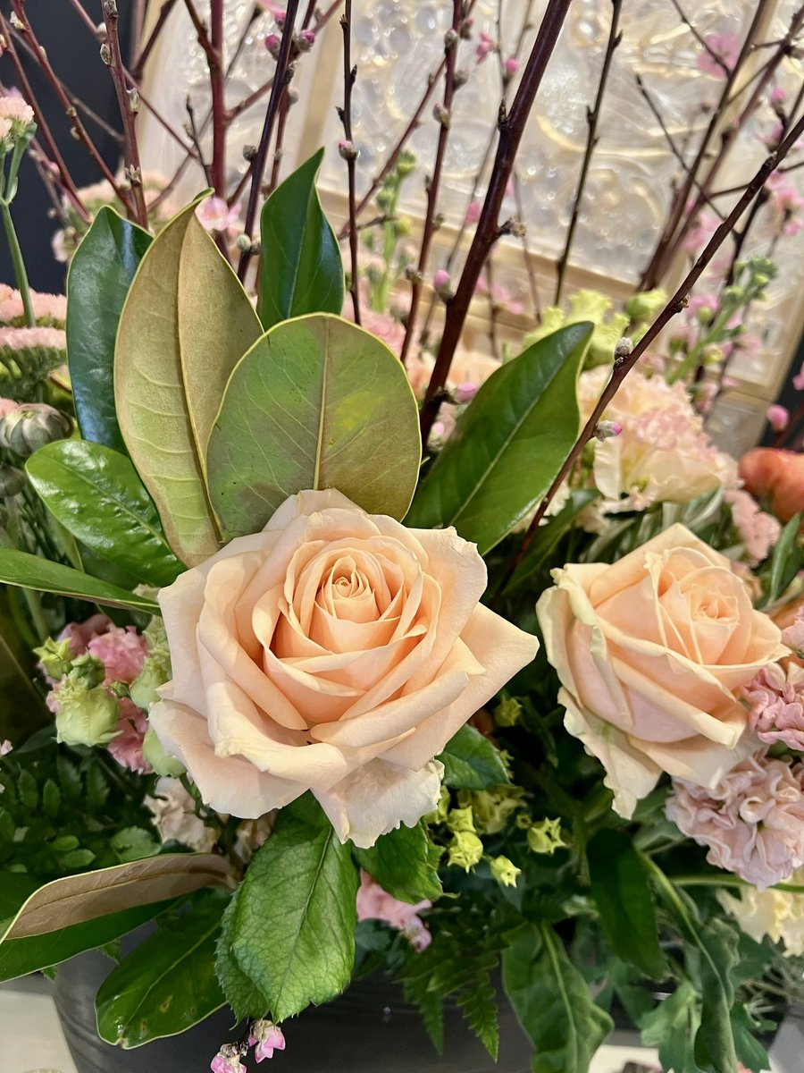 Precious Muir tweet media