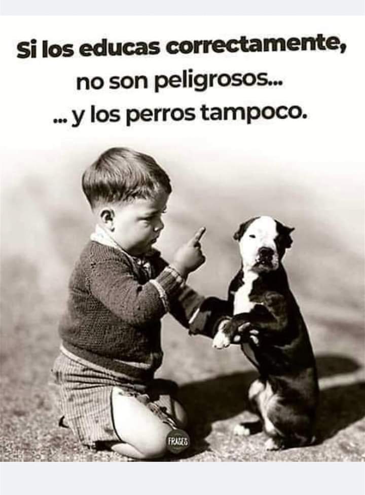 Jorge Luís Rangel tweet media