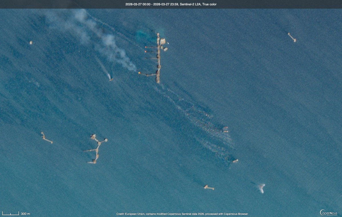 Pandita rojo 🐳 tweet media