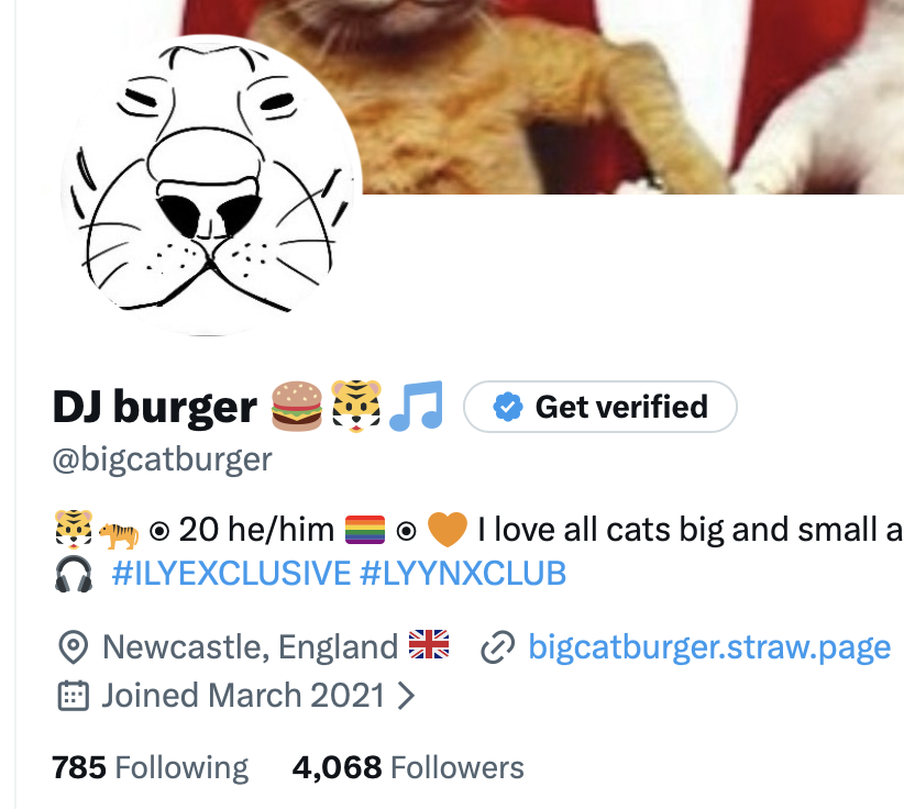 DJ burger 🍔🐯🎵 tweet media