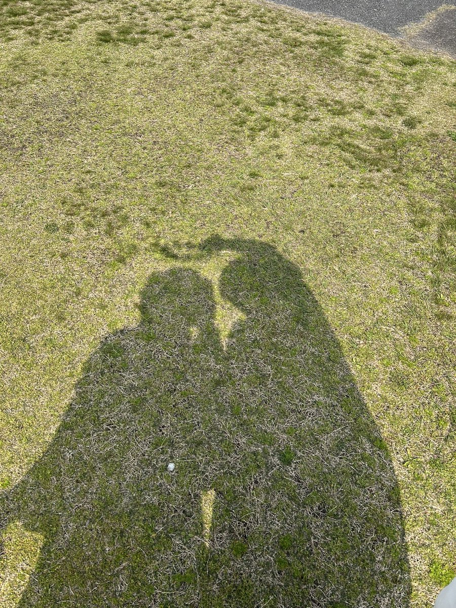 とるた tweet media