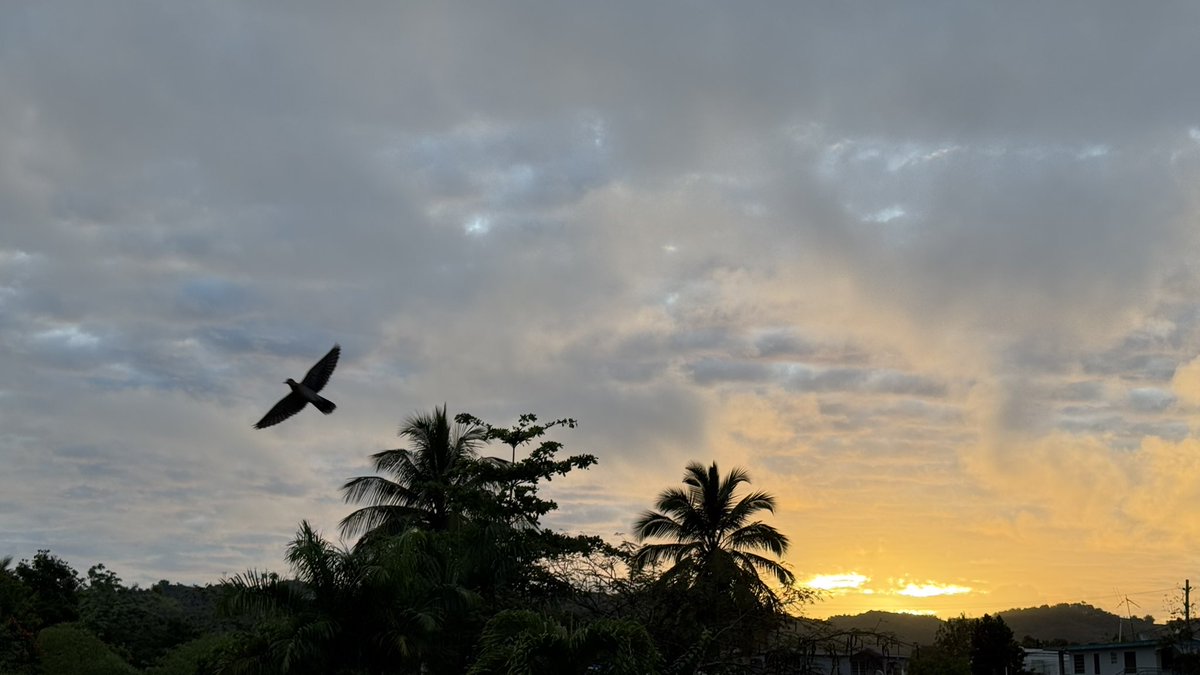 Leidy Díaz tweet media