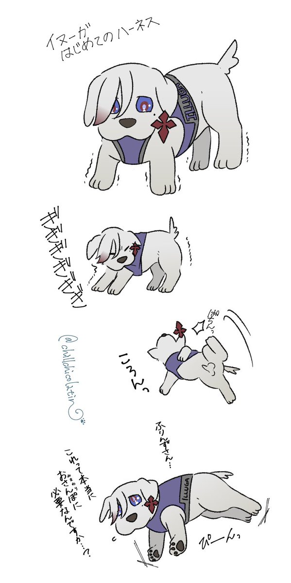 ハッスル子犬🐾HustlePuppy tweet media