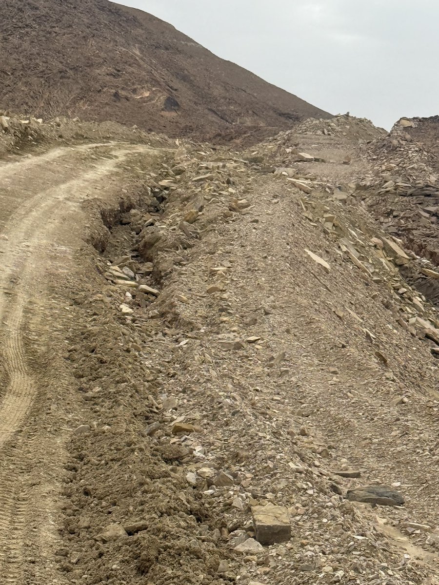 Mohammed Hamed Al Durei tweet media