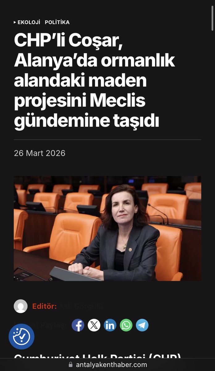 Aliye Coşar tweet media