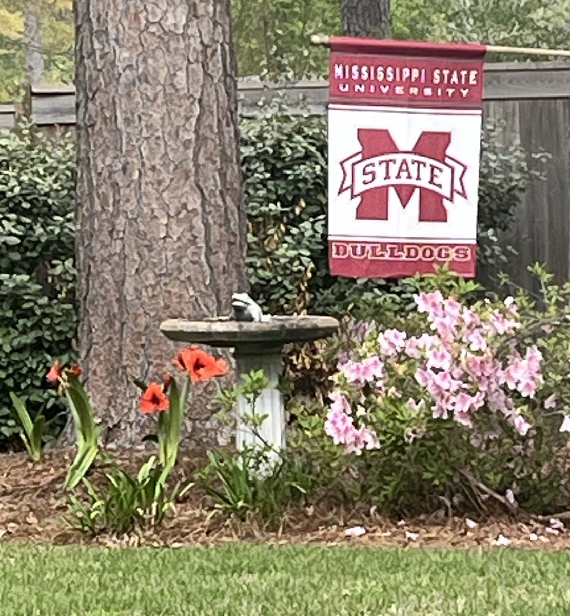 Dirt Dawg tweet media