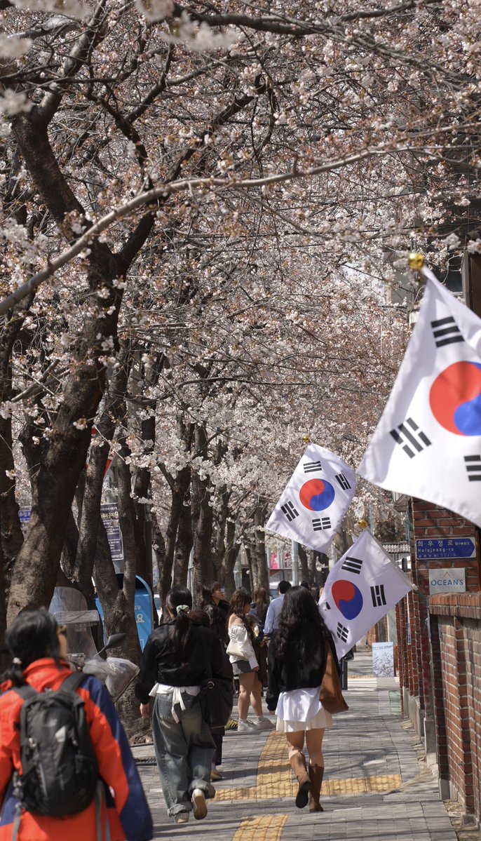 Ryo✈︎旅するパーソナルトレーナー tweet media