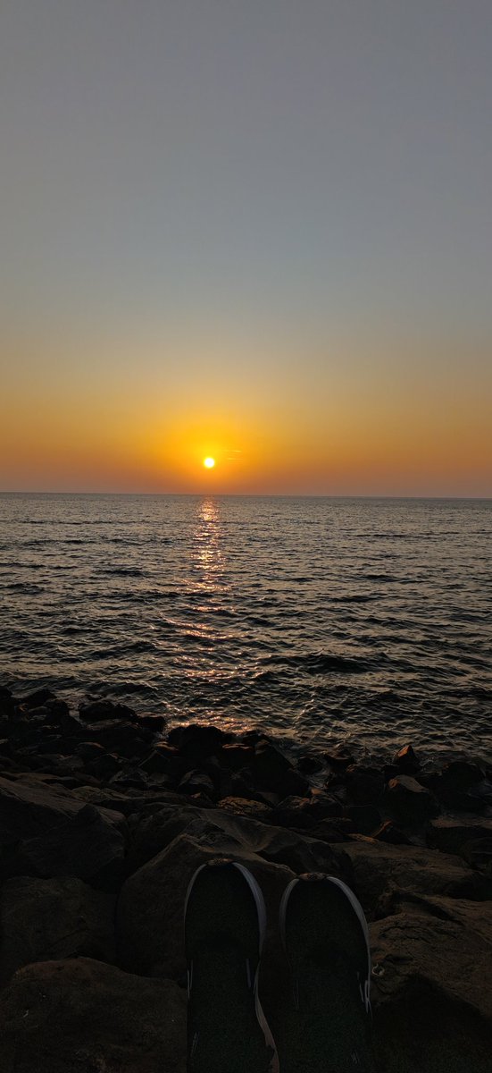 Paushali Sahu tweet media