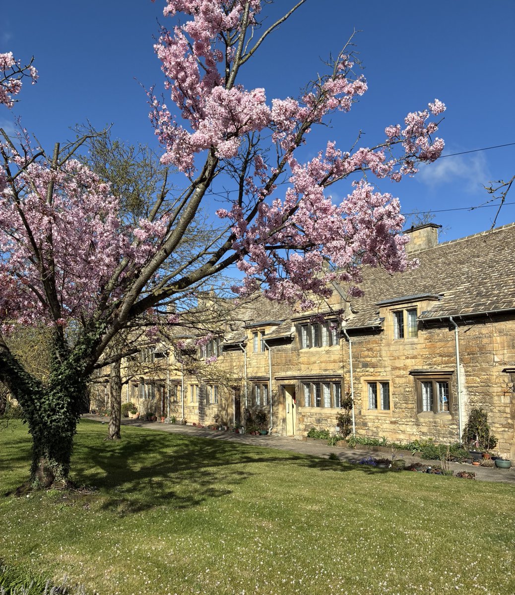 Zara Handley tweet media