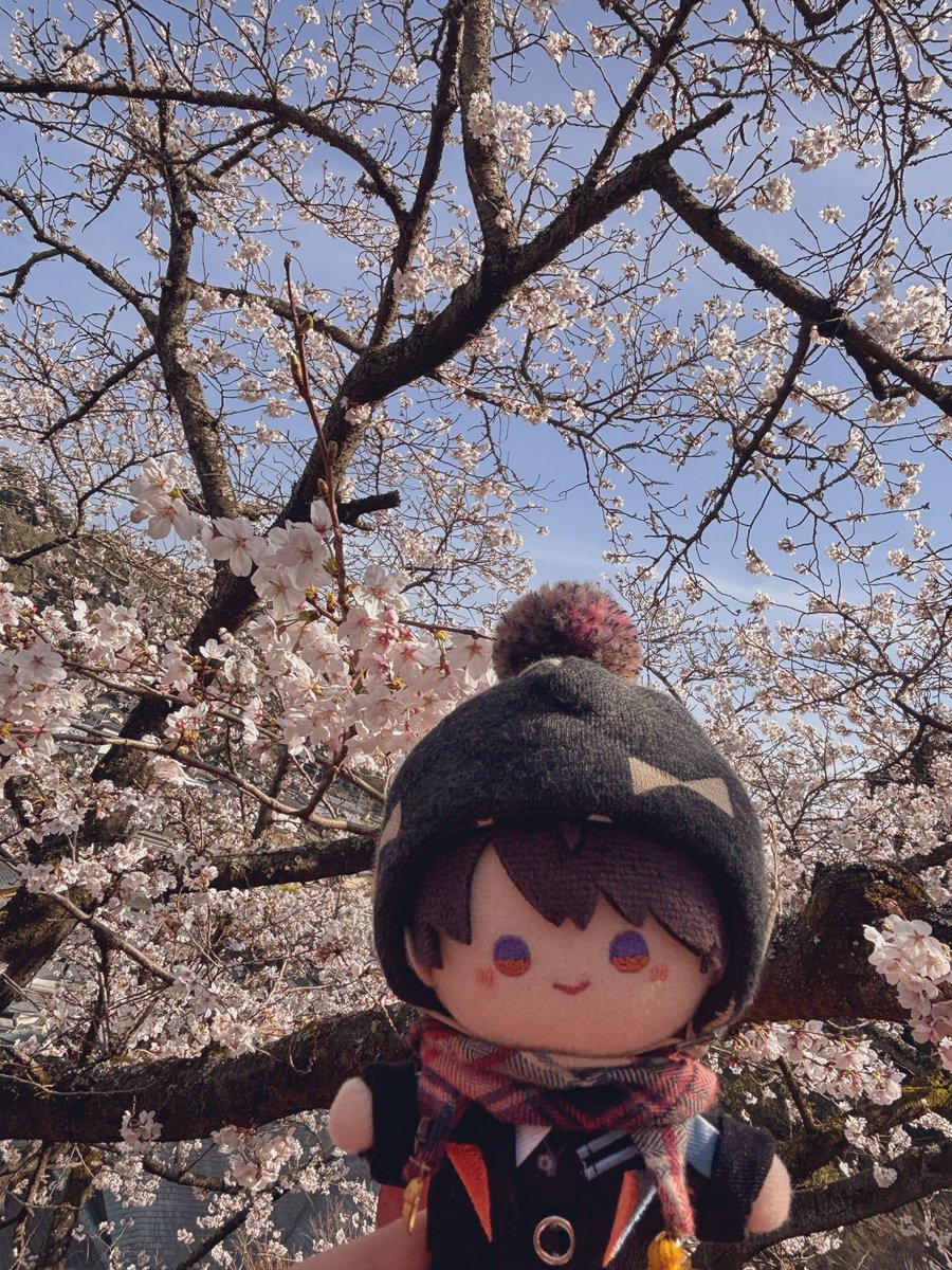 outis 次は各委託制作 tweet media