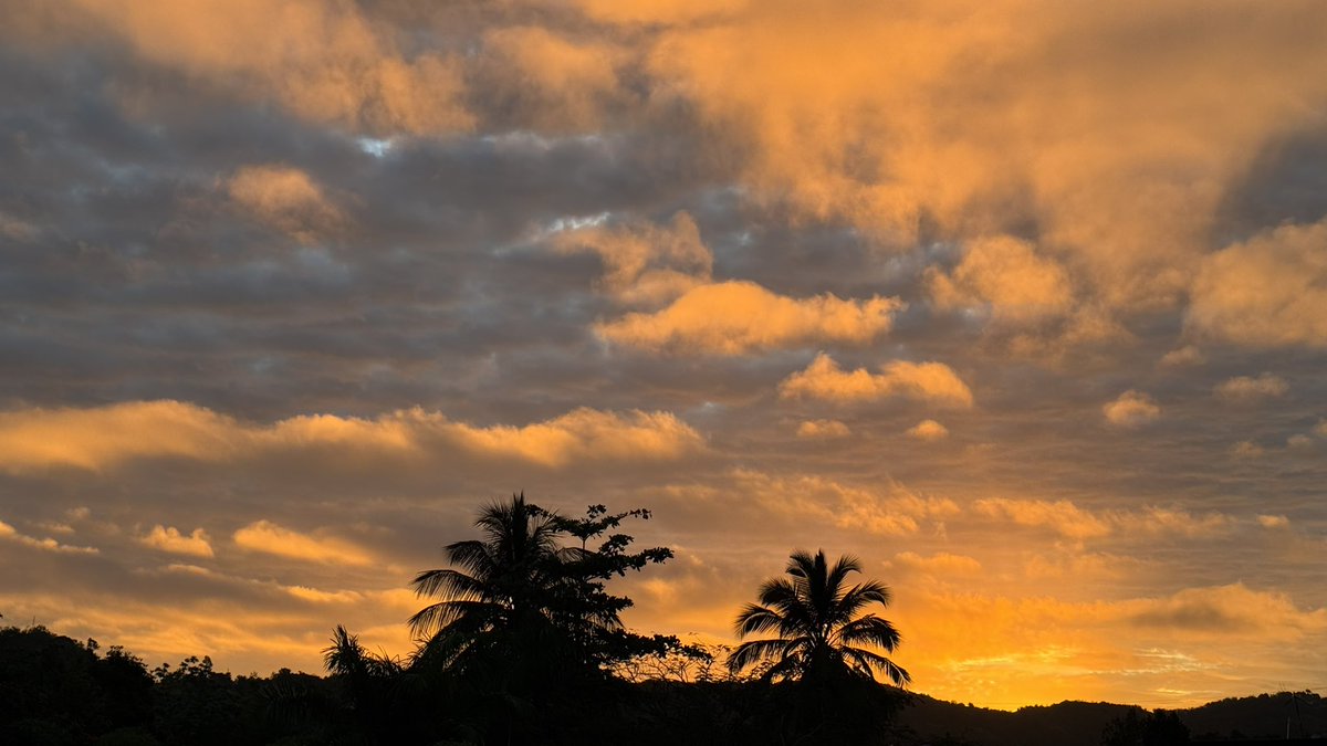 Leidy Díaz tweet media