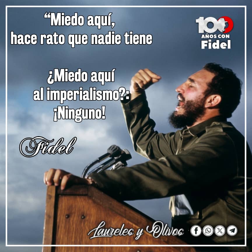 Alfre Menendez tweet media