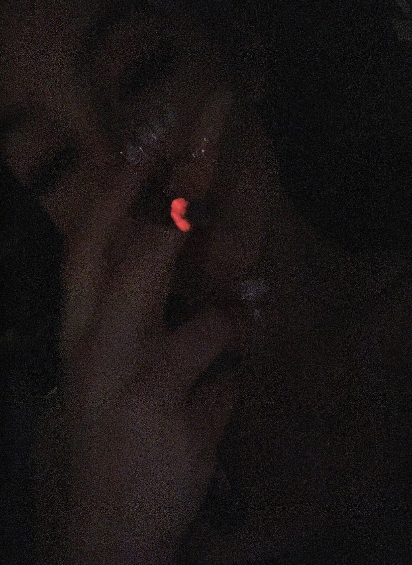 jaee💋 tweet media