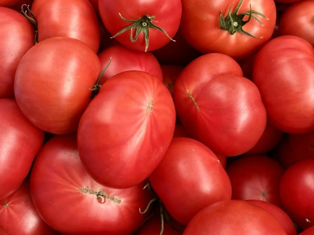 食べチョク【公式】🍓🍊🌾生産者直送の産直通販サイト tweet media