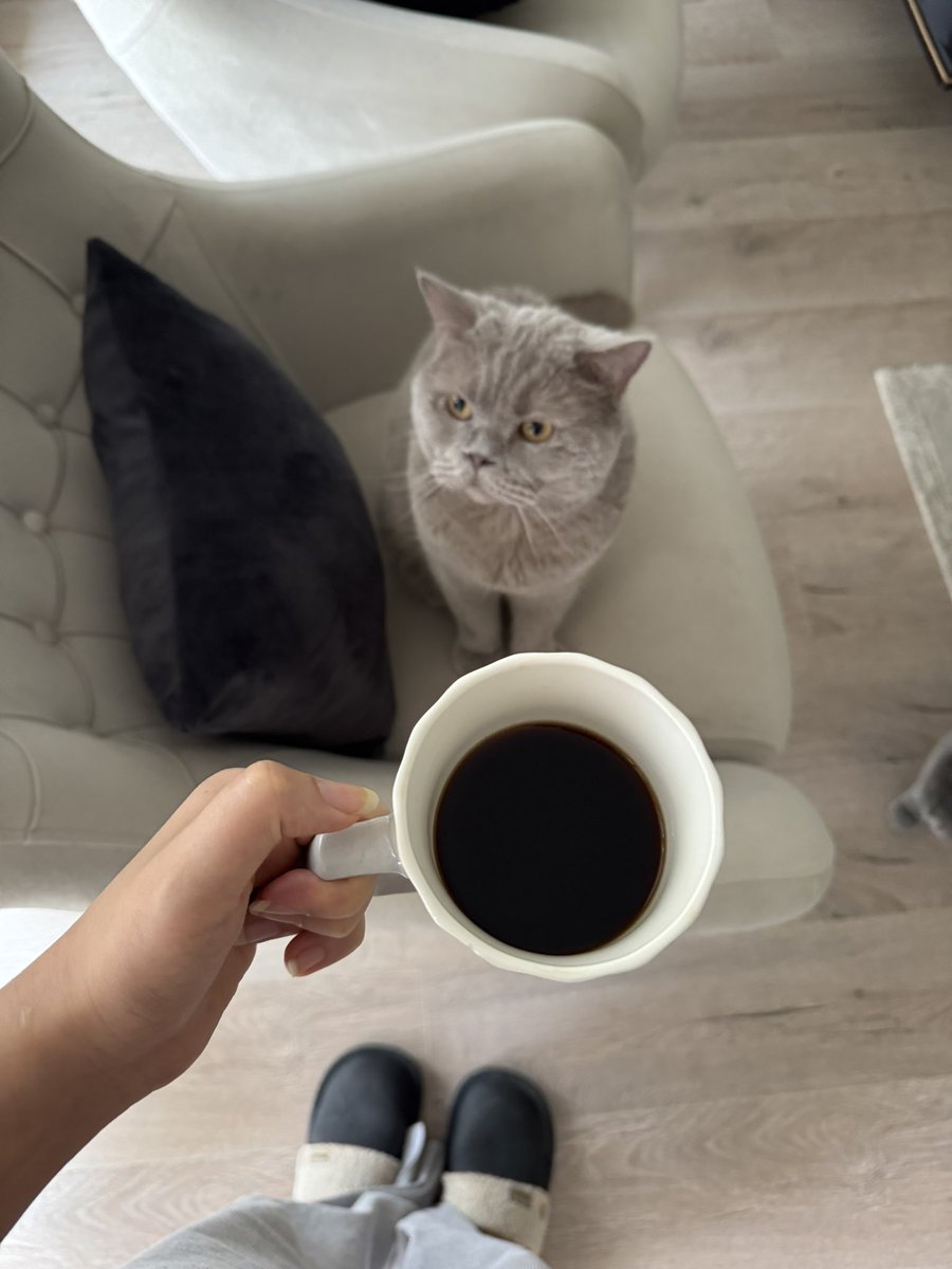 gamzisko tweet media