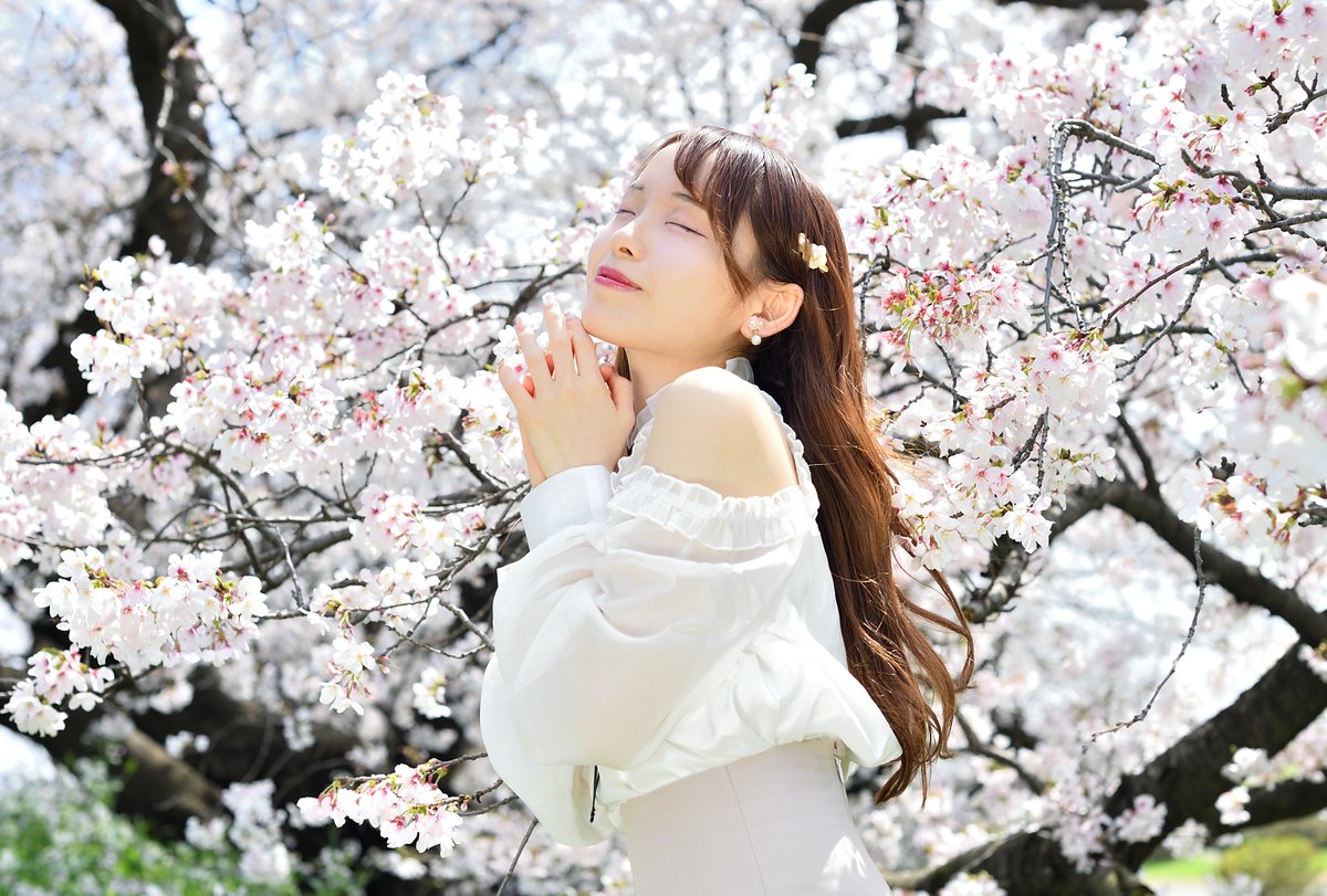 Ryo_ichi tweet media