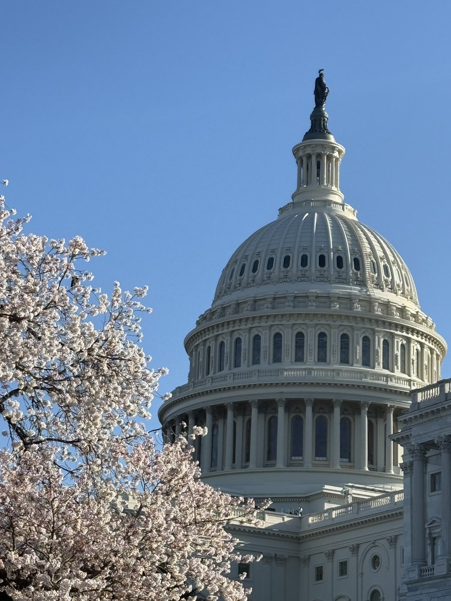 Arthur Perrot tweet media