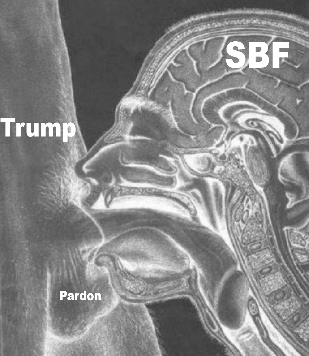 まどろむ 🏴 tweet media