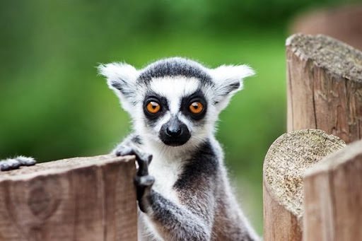 🫧ฮุนคลุง🫧 🐣 tweet media