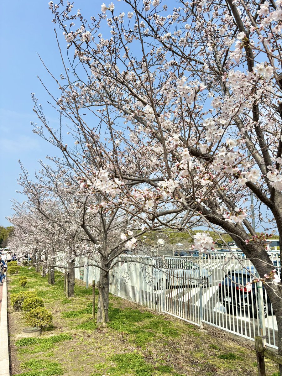 スギ♈️♡ tweet media