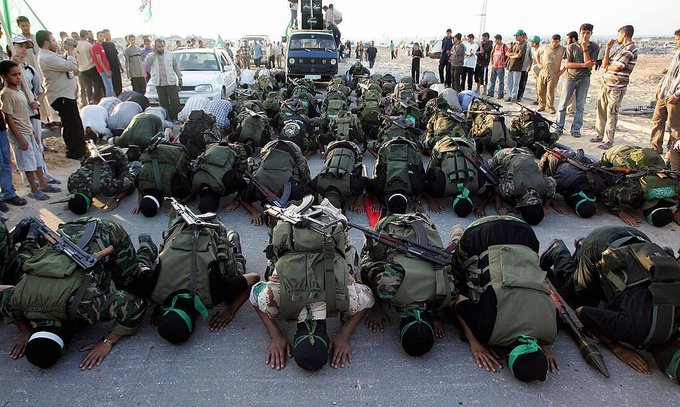 د. بشرى صدقي tweet media