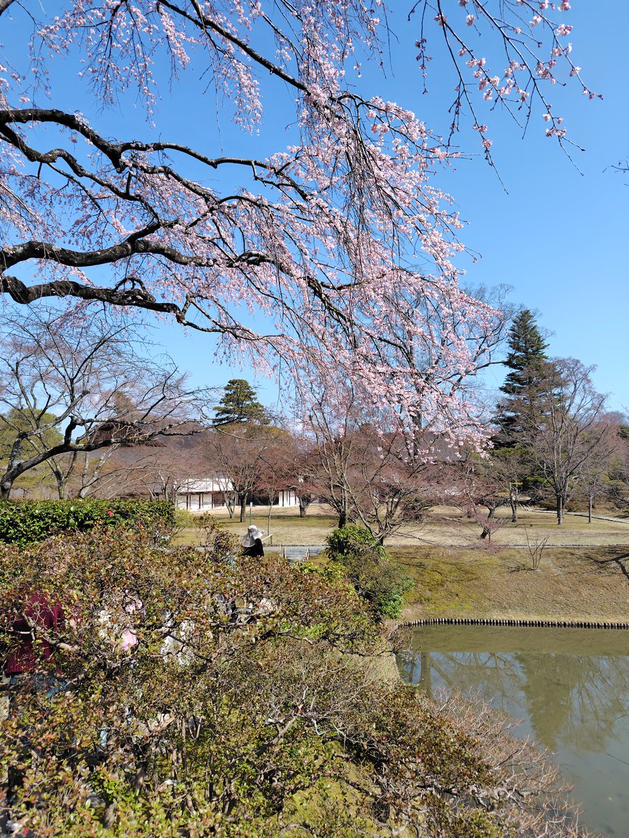 724-box (なつよぼっくす) tweet media