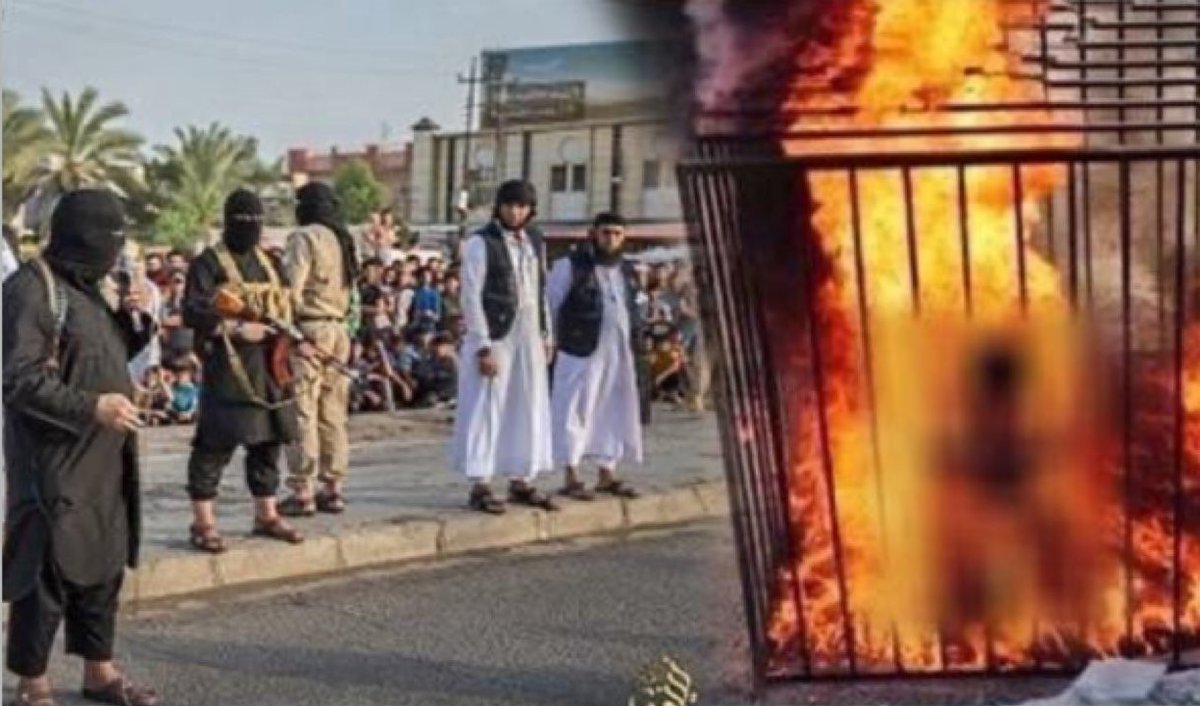 Alacrity Fitzhugh tweet media