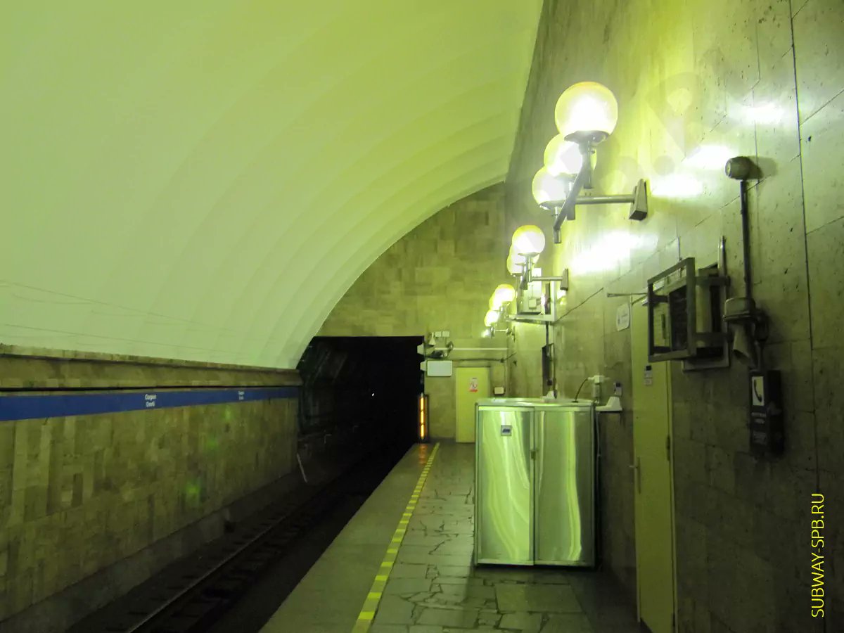 даша tweet media