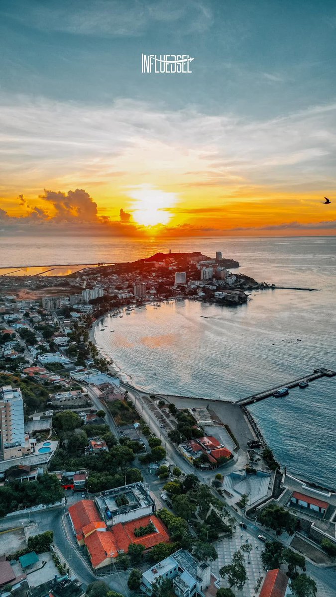 Gianluca Cocconcelli Art tweet media