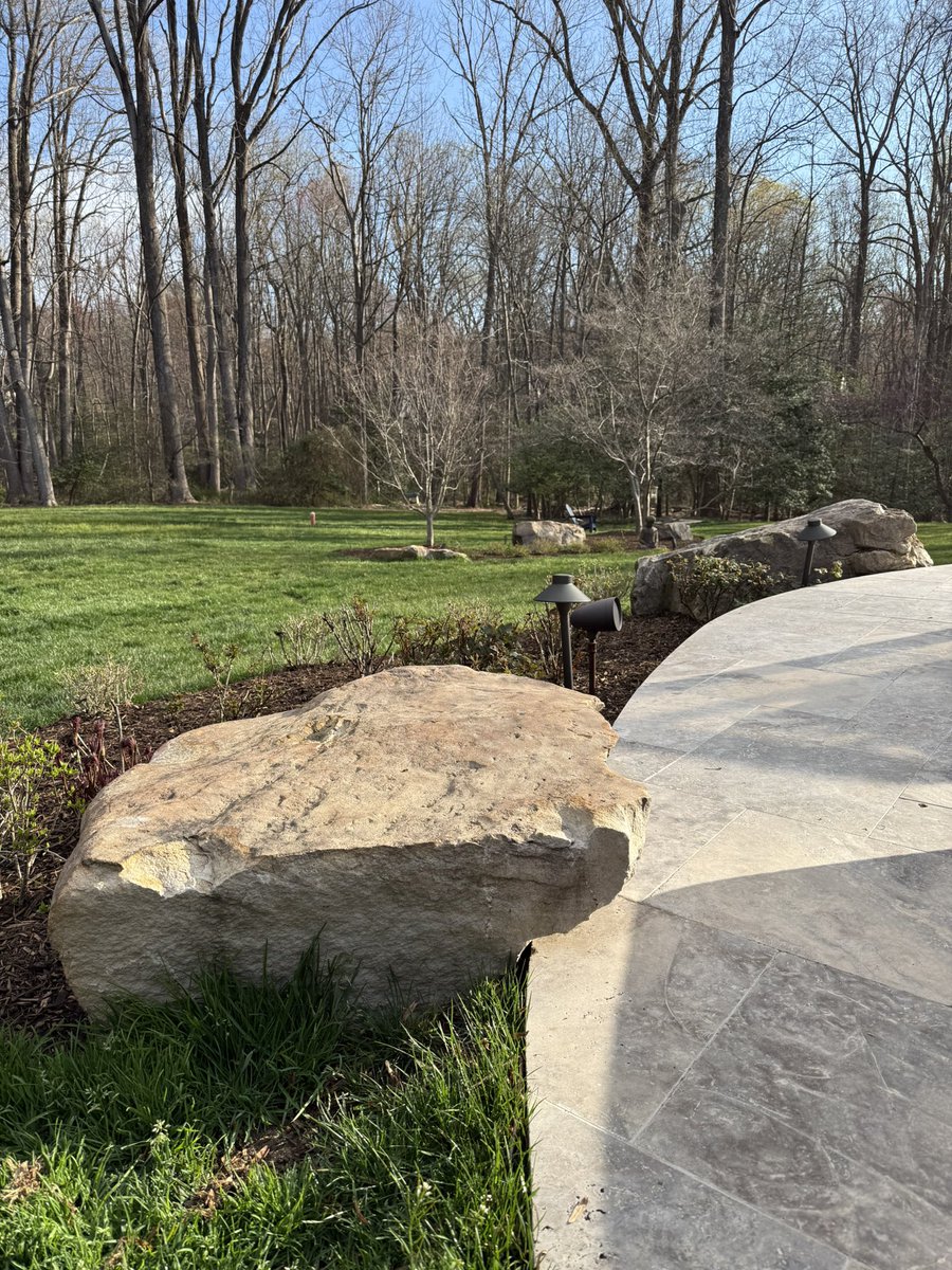 Adam Rossi tweet media