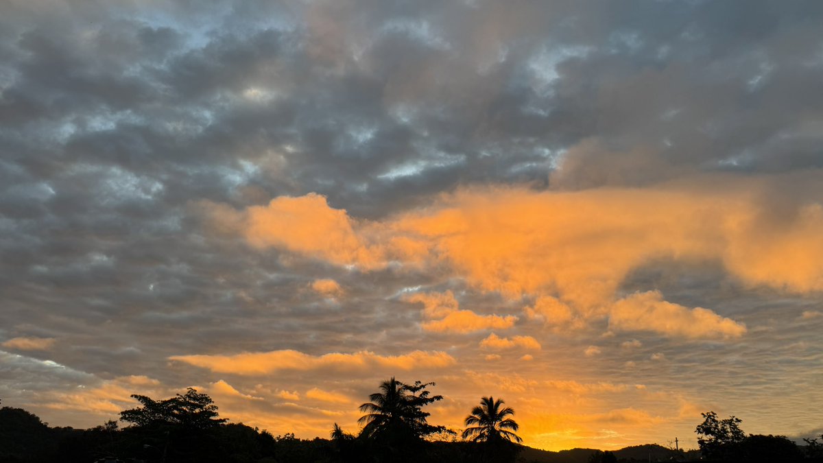 Leidy Díaz tweet media