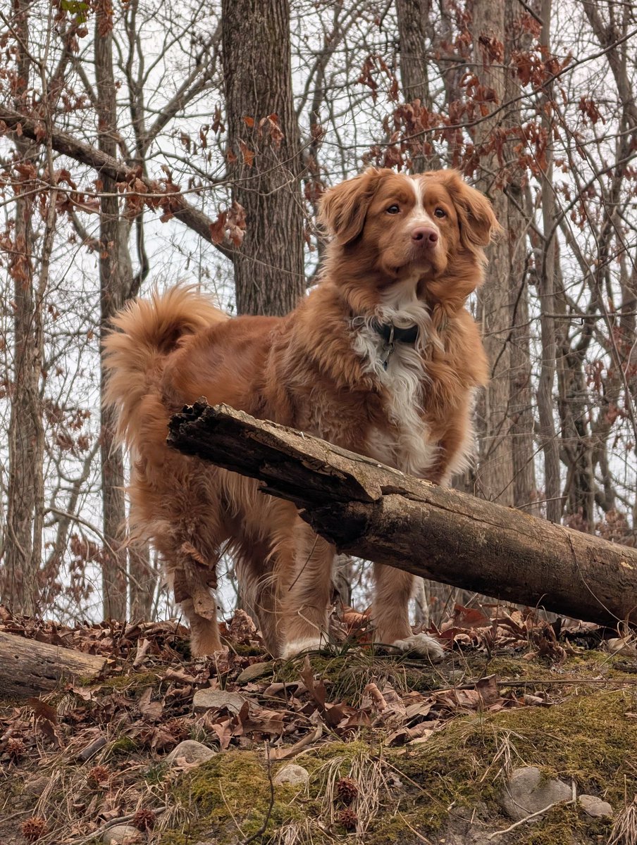 Reasonable Man 🇺🇸 tweet media