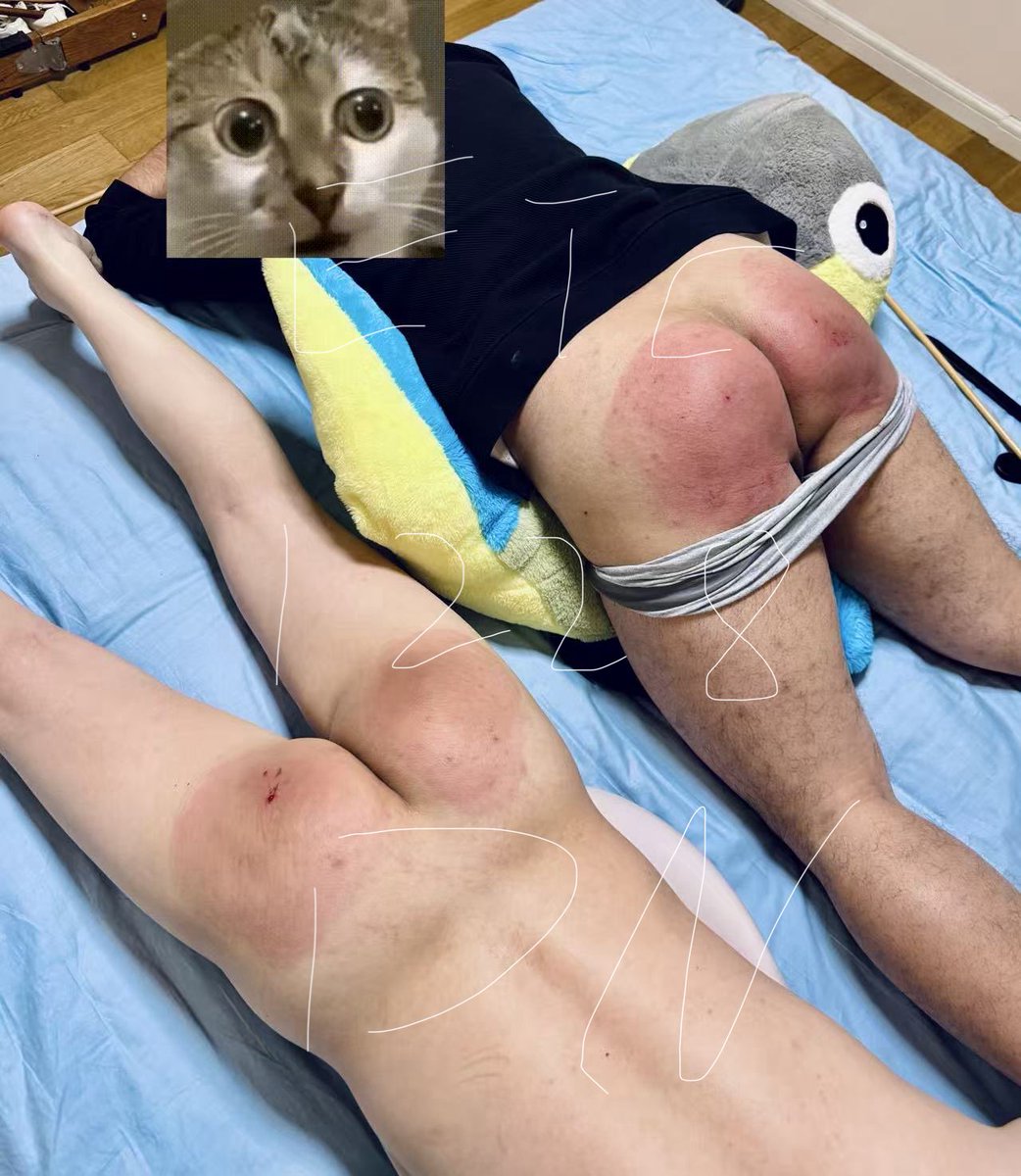 BlindBox tweet media