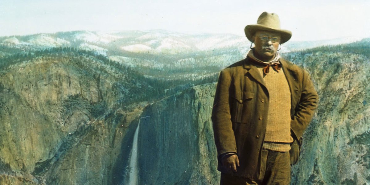 The Knowledge Archivist tweet media