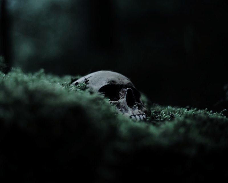 ᴍᴏʀᴛᴀ tweet media