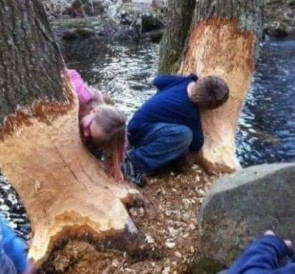 プレジデンテェ tweet media