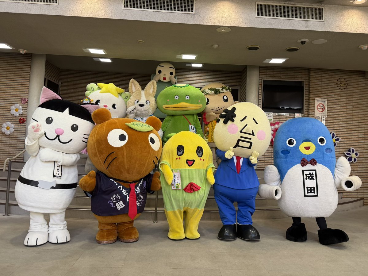 こーた(幸多) tweet media