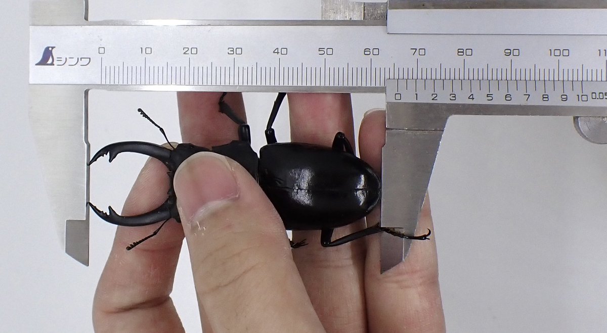 しまむら tweet media