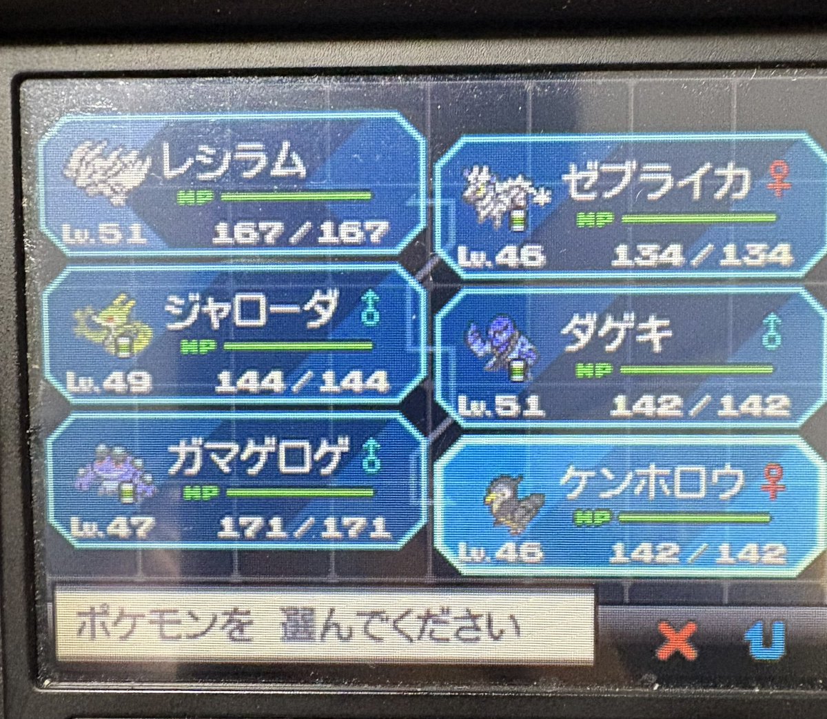 よしふみ@虹2025玄人 tweet media